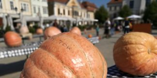 Kürbiszeit – So gesund ist das trendige Gemüse!