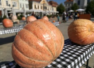 Es ist Kürbiszeit – Auch in der ungarischen Küche!