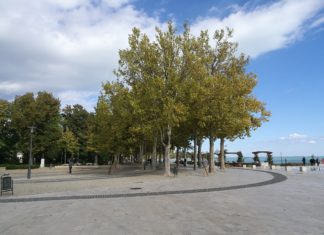 Herbstimpressionen jetzt am Balaton