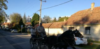 Ungarischer Familienausflug am Wochenende