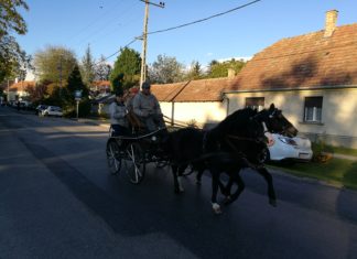 Ungarischer Familienausflug am Wochenende