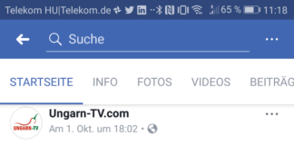 Internetsucht in Ungarn: Soziale Medien – 30% der jungen Ungarn „abhängig“