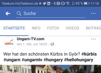 Internetsucht in Ungarn: Soziale Medien – 30% der jungen Ungarn „abhängig“
