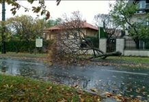 „Herwart” verursacht Schäden in ganz Ungarn