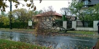 „Herwart” verursacht Schäden in ganz Ungarn