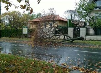 „Herwart” verursacht Schäden in ganz Ungarn