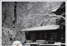 Uhren umstellen! Die Winterzeit kommt am Sonntag!