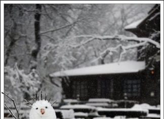 Uhren umstellen! Die Winterzeit kommt am Sonntag!