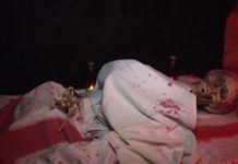 Halloween im Győrer Zoo