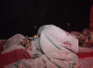 Halloween im Győrer Zoo