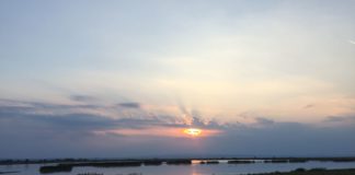 61 Milliarden Forint für Region Sopron/Neusiedler See