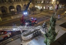Auch vor der Budapester Oper steht der Baum!