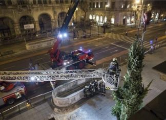 Auch vor der Budapester Oper steht der Baum!