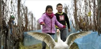 „Gans rette Dich“