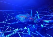 Halloween im Györer Zoo mit vielen Monstern und finsteren Gestalten!