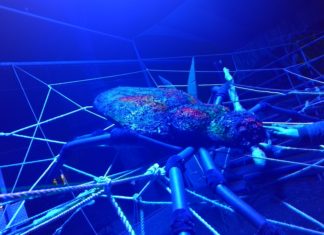 Halloween im Györer Zoo mit vielen Monstern und finsteren Gestalten!