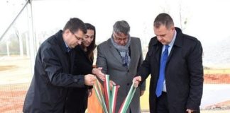 Schnecken aus Ungarn – Bald Schneckenfabrik in Ostungarn