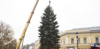 Grosser Weihnachtsbaum in Nyiregyhaza mit Kran aufgestellt