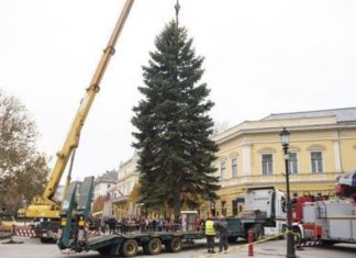 Grosser Weihnachtsbaum in Nyiregyhaza mit Kran aufgestellt