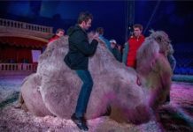 Schöne Idee: Zirkus für Sehbehinderte in Budapest