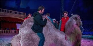 Schöne Idee: Zirkus für Sehbehinderte in Budapest