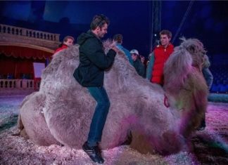 Schöne Idee: Zirkus für Sehbehinderte in Budapest