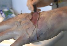 Den „Zombiebiss“ selbstgemacht