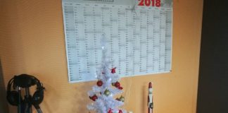 Weihnachtsbaum – Trend bleibt wohl bei bunt-fröhlich