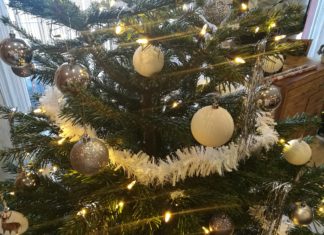 So hat man lange Freude am Weihnachtsbaum