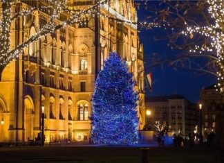 Landesweihnachtsbaum leuchtet auch jetzt in Budapest