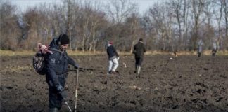 „Schatzsuche“ bei Mohács – Münzen gesucht und gefunden