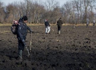 „Schatzsuche“ bei Mohács – Münzen gesucht und gefunden