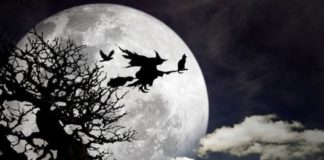 Gestern 13.12. war Luca Tag – Doch was ist das?