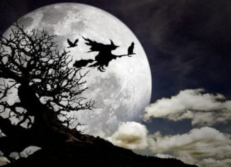 Gestern 13.12. war Luca Tag – Doch was ist das?