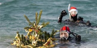 Weihnachtstauchen in Hegyeshalom