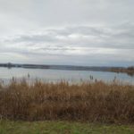 Kis Balaton – Foto: Rita Martinez / Flying Media Hungary