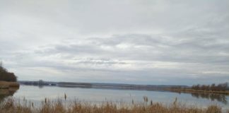 Winterlicher Spaziergang am Kis-Balaton