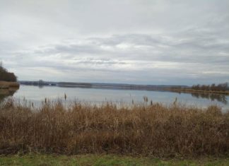 Winterlicher Spaziergang am Kis-Balaton