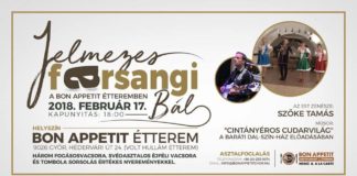 Faschingsparty in Győr: Abendessen & Musik