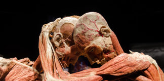 Jetzt kannst du sehen, wer wir sind! BODY Ausstellung in Budapest