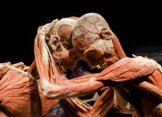 Jetzt kannst du sehen, wer wir sind! BODY Ausstellung in Budapest