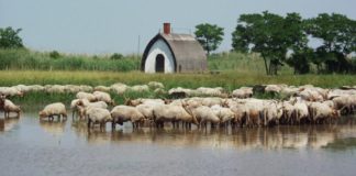 Millionen für den Tourismus in Fertő-Landschaft!