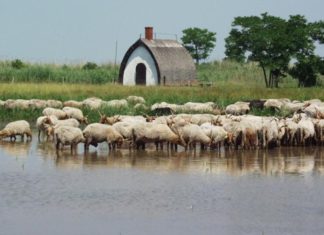 Millionen für den Tourismus in Fertő-Landschaft!