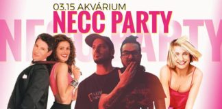 NECC Party: Musik der 90er & 00er