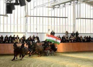 Die National Horse Riding Center wurde neu eröffnet!