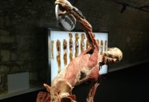 BODY Exhibition in Budapest eröffnet!