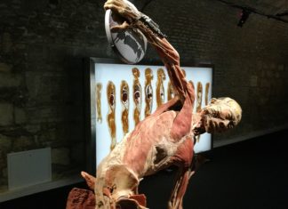 BODY Exhibition in Budapest eröffnet!