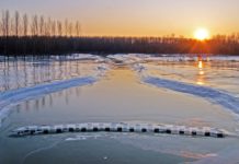 Hochwasserschutzmassnahmen entlang des Theiss eingeleitet