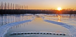 Hochwasserschutzmassnahmen entlang des Theiss eingeleitet