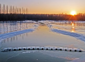 Hochwasserschutzmassnahmen entlang des Theiss eingeleitet